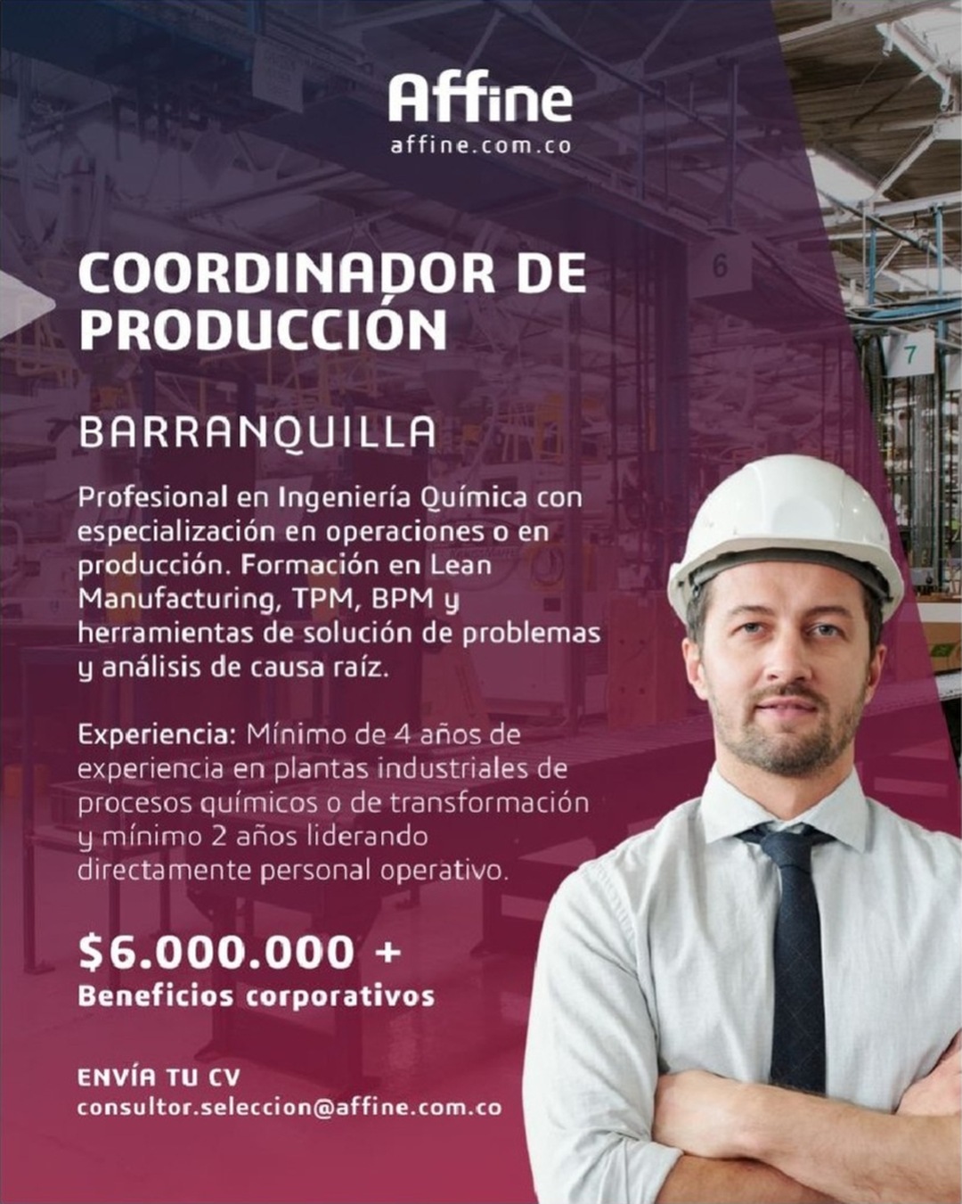 Coordinador de Producción