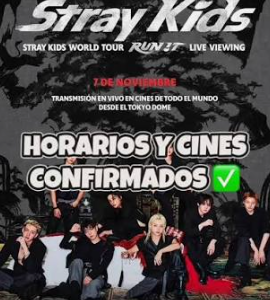 Stray Kids World Tour <RUN IT> Live Viewing