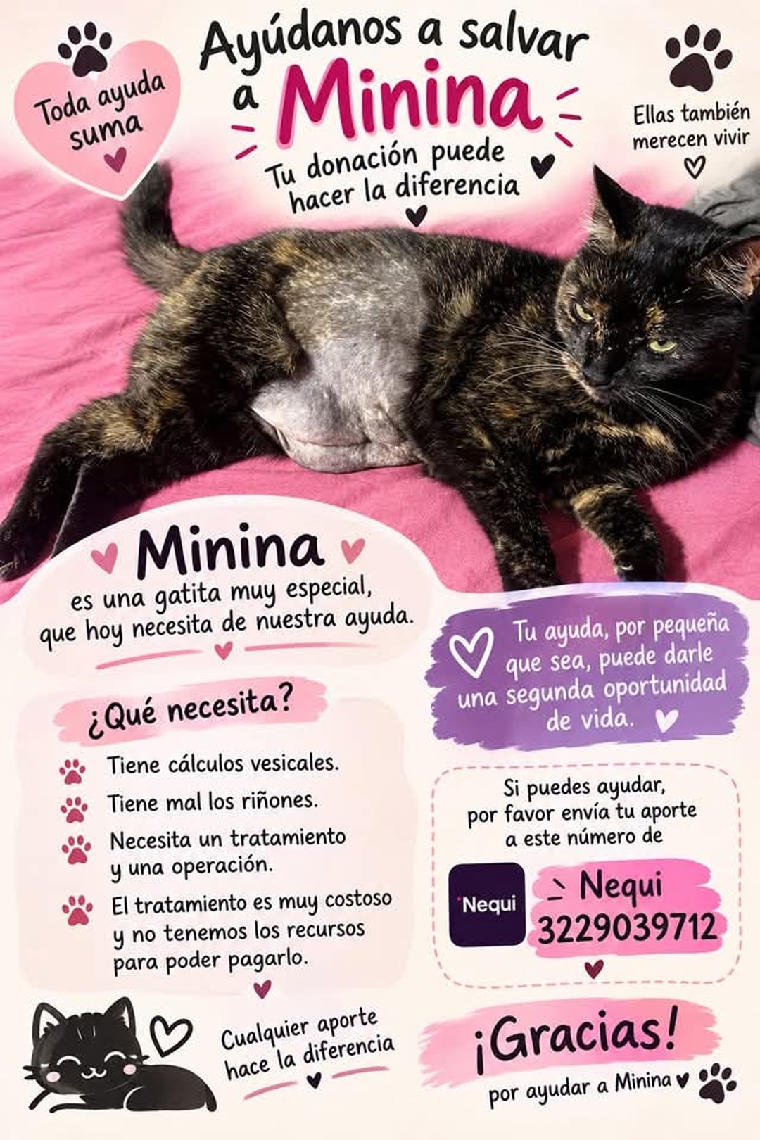 Ayúdanos a salvar a Minina