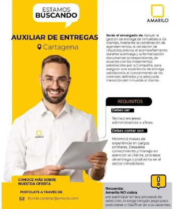 Auxiliar de Entregas