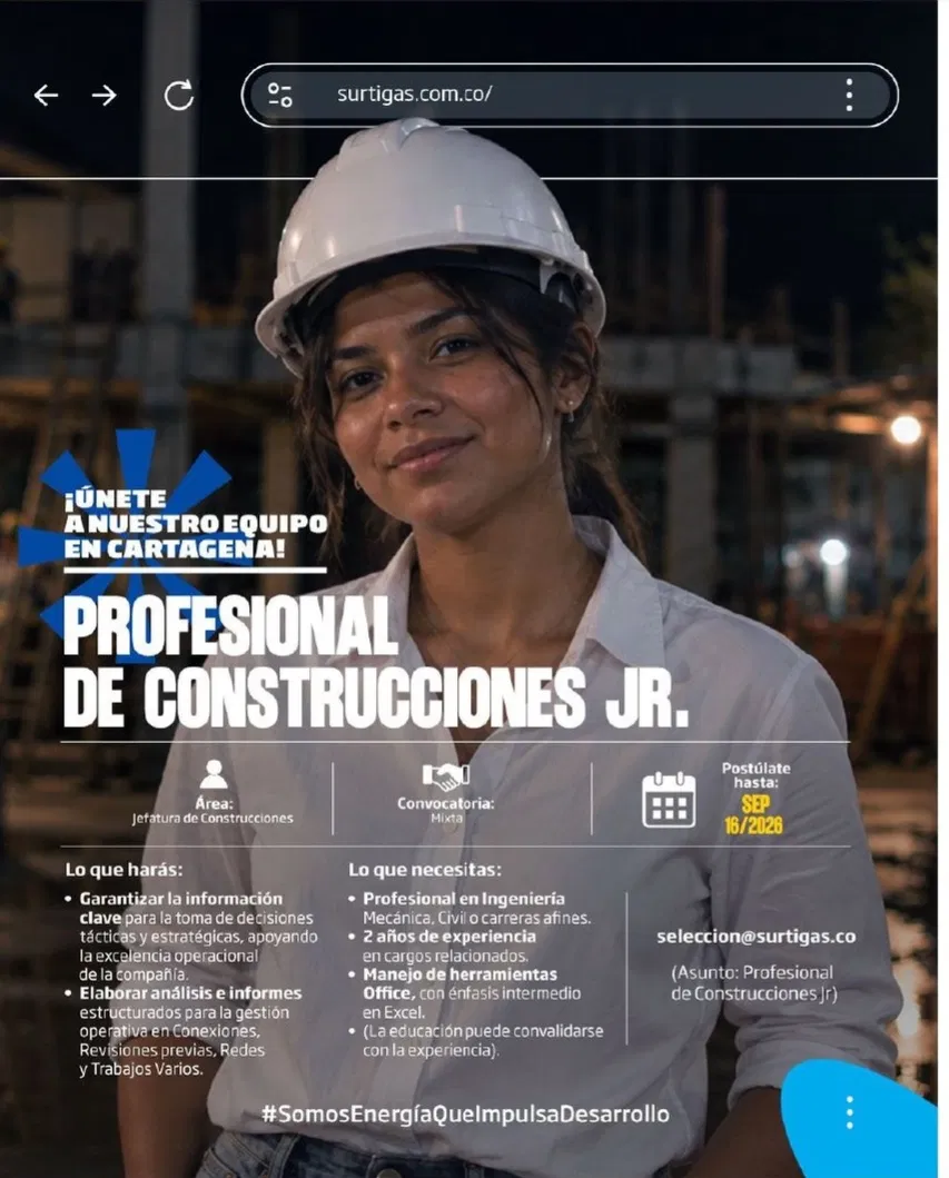 Profesional de Construcciones Jr.