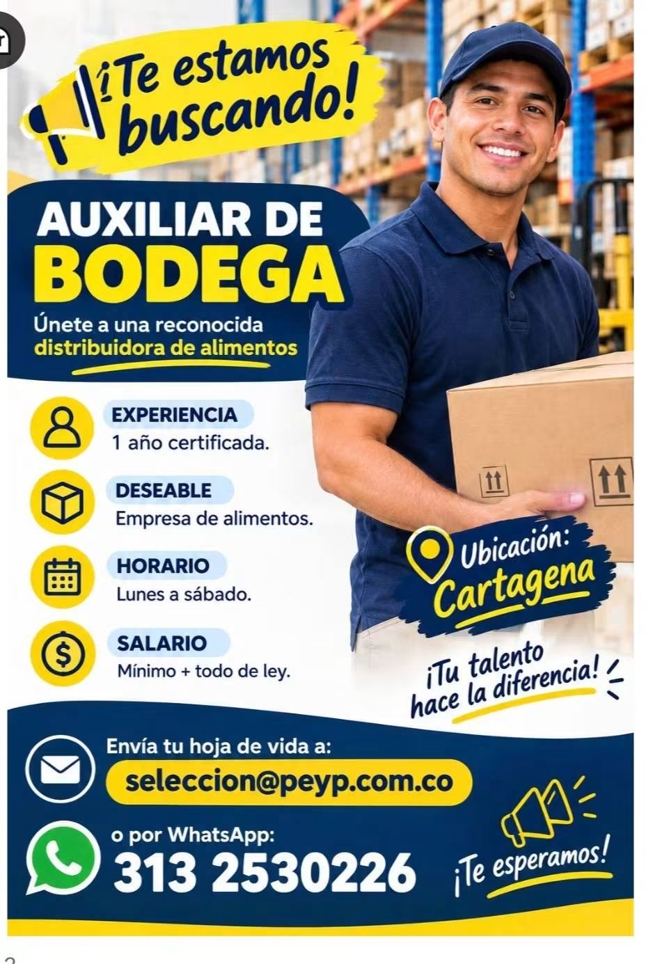 Auxiliar de Bodega