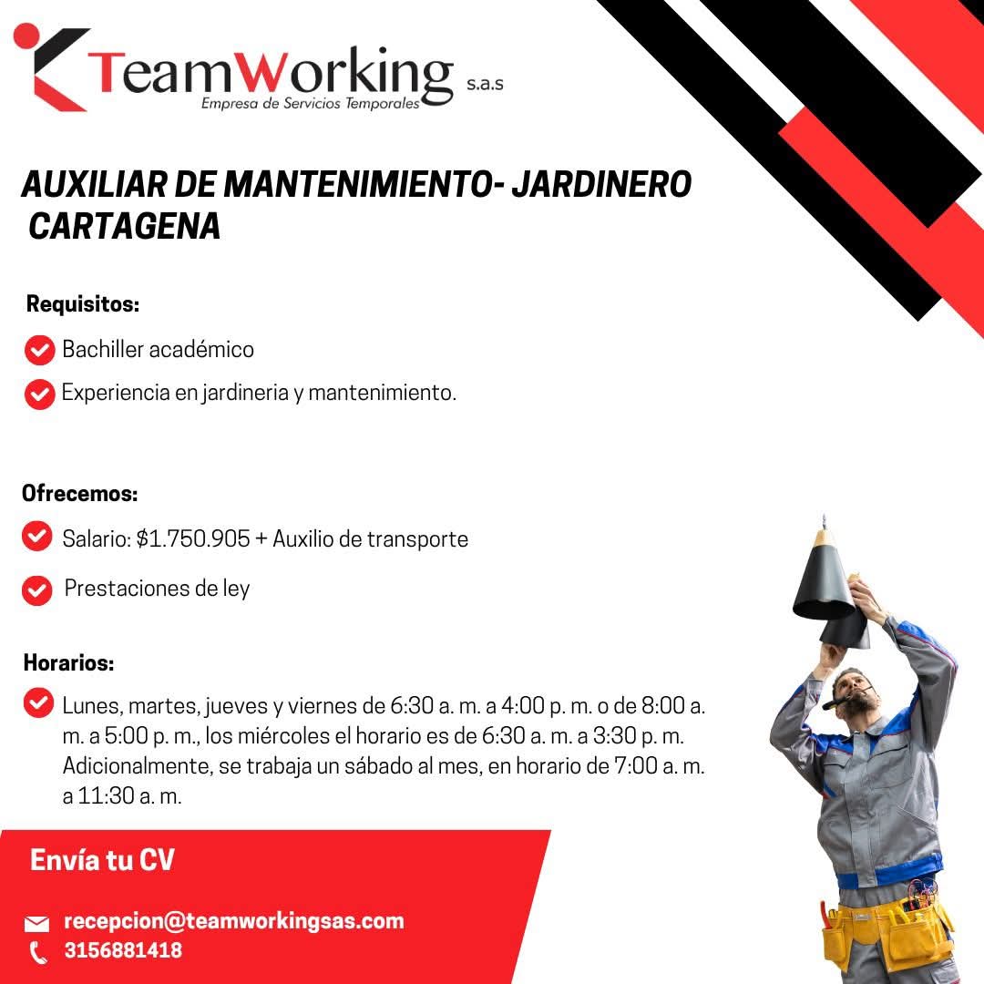Auxiliar de Mantenimiento / Jardinero