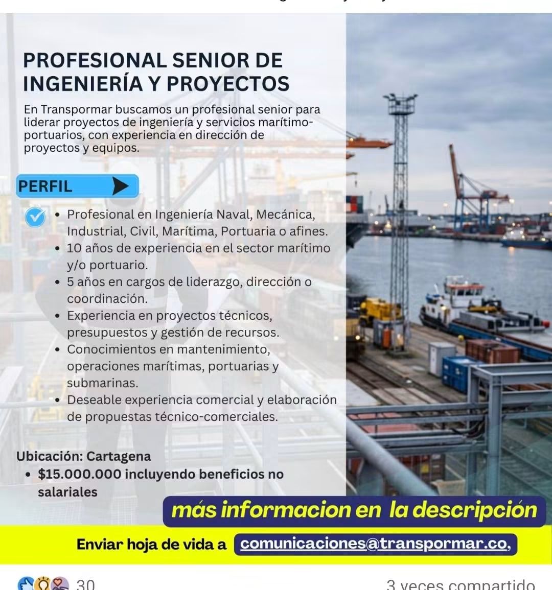 Profesional Senior de Ingeniería y Proyectos