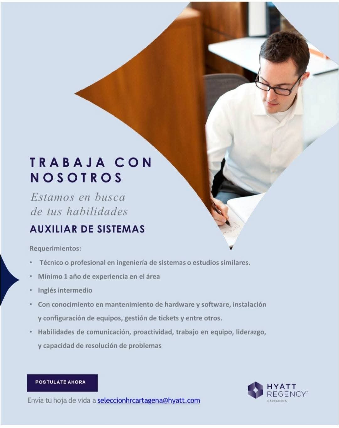 Auxiliar de Sistemas
