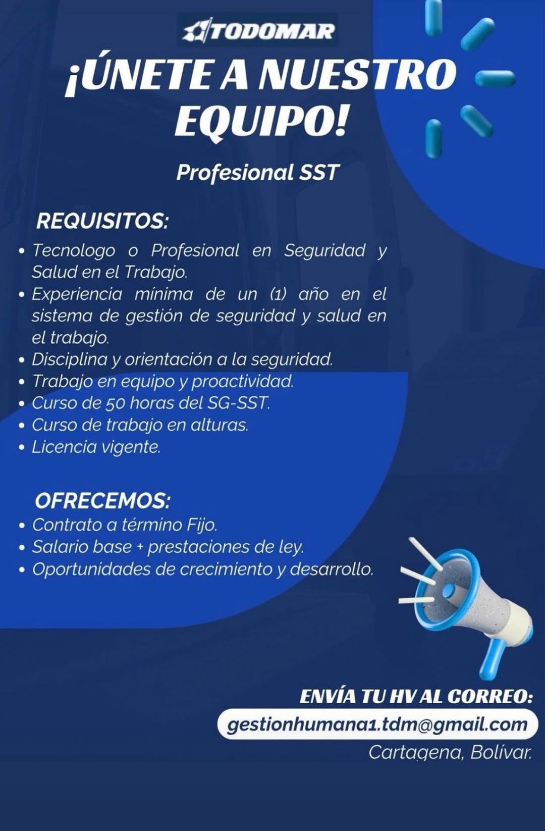 Profesional SST