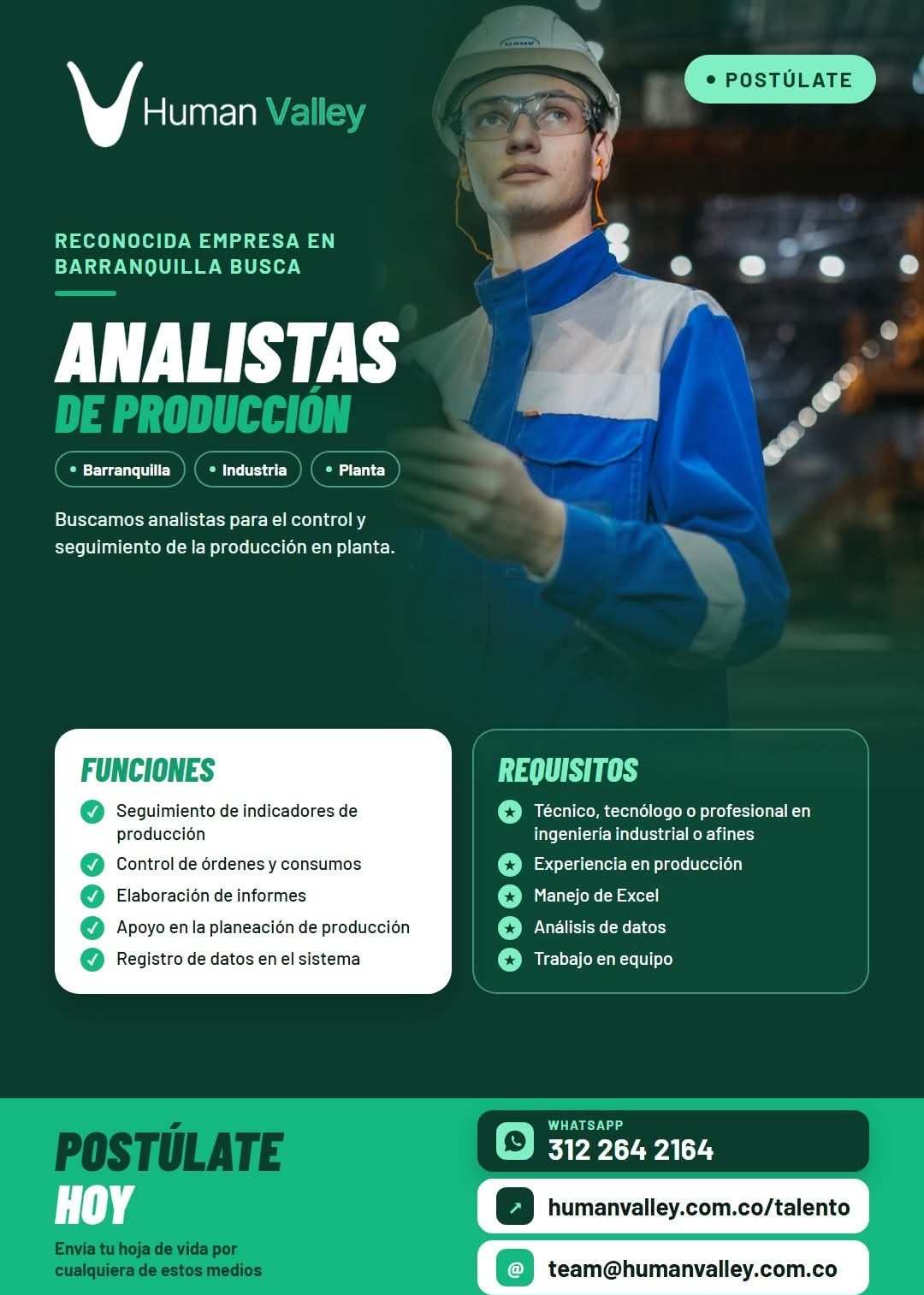 Analistas de Producción