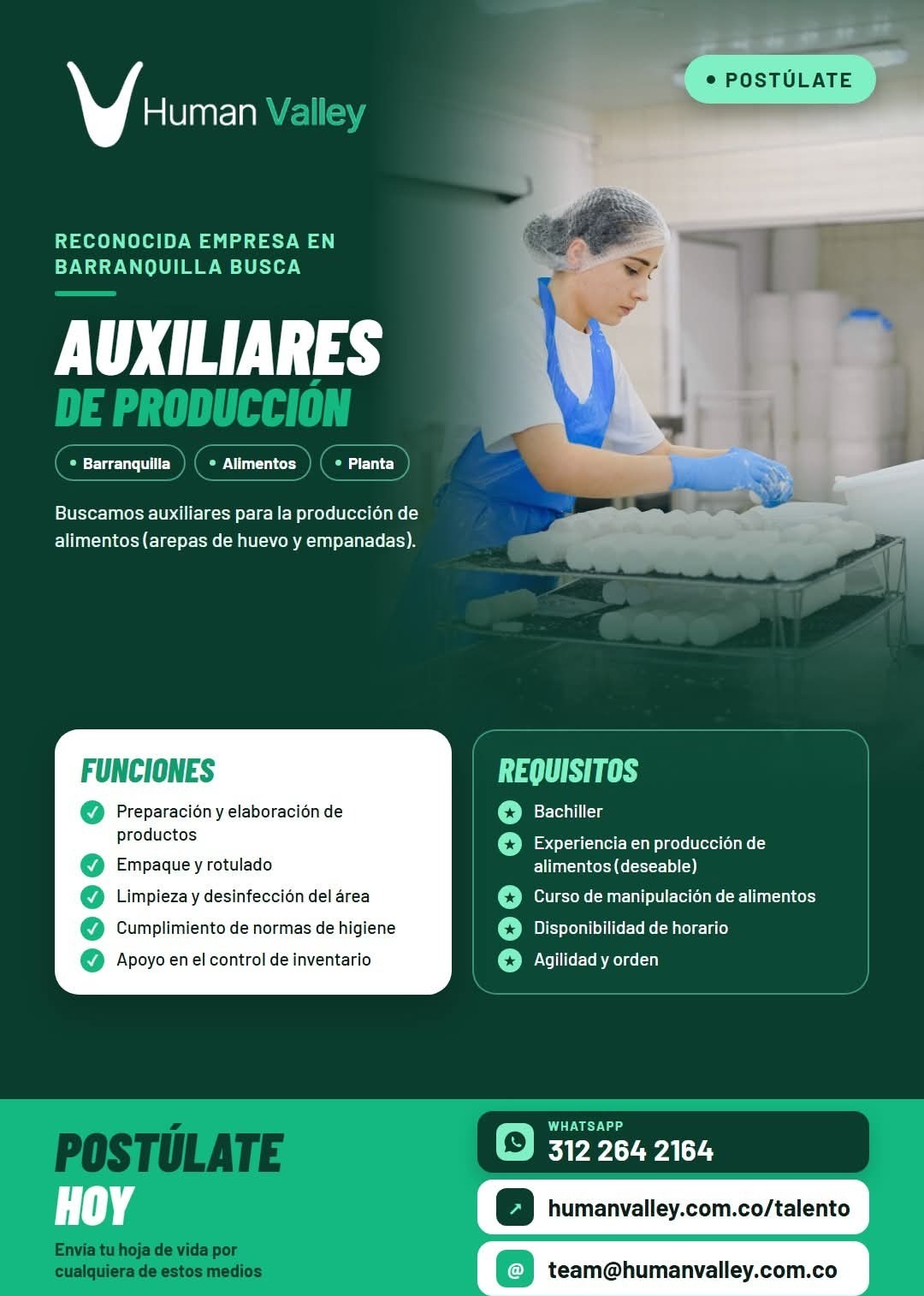 Auxiliares de Producción