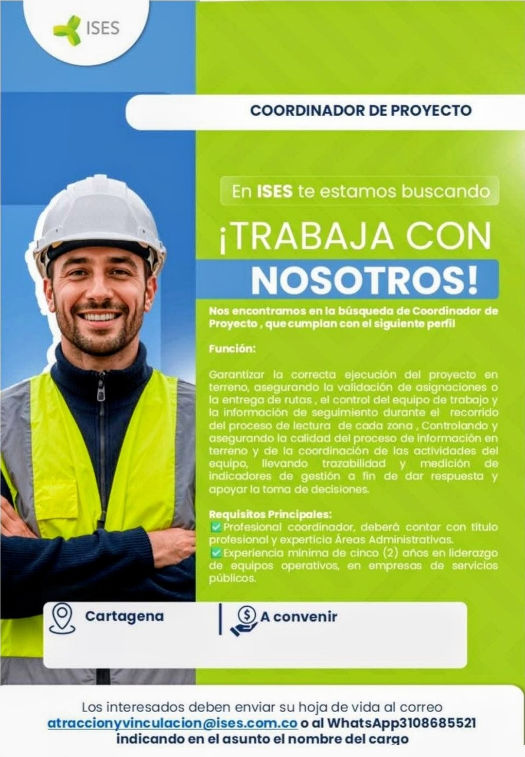 Coordinador de proyecto