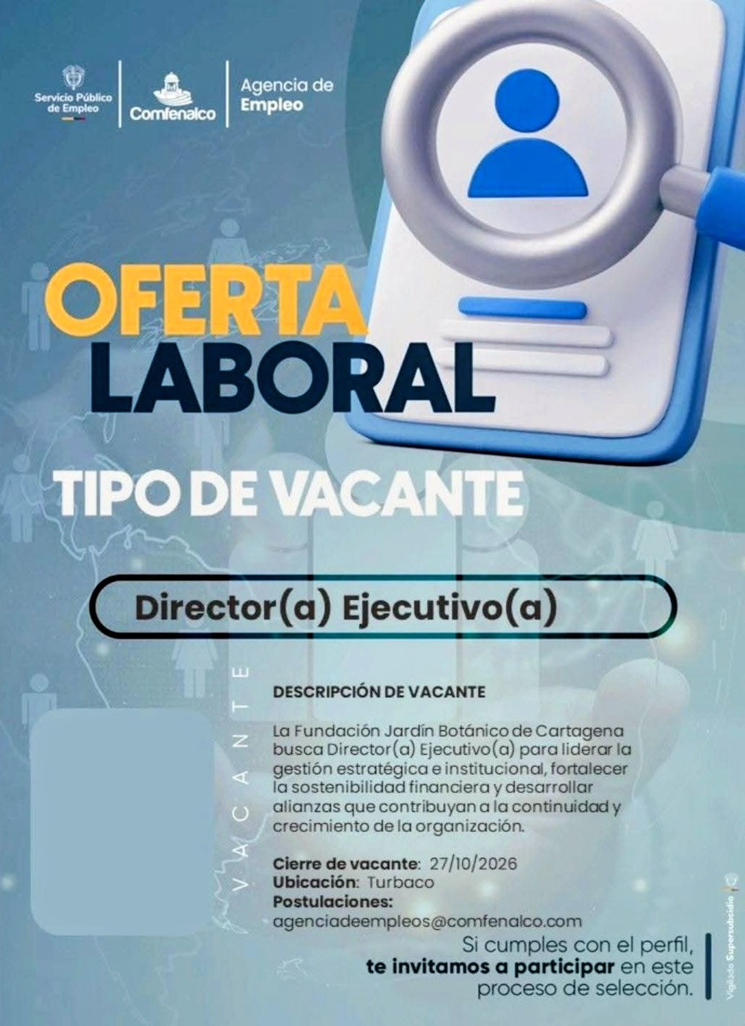 Director(a) Ejecutivo(a)