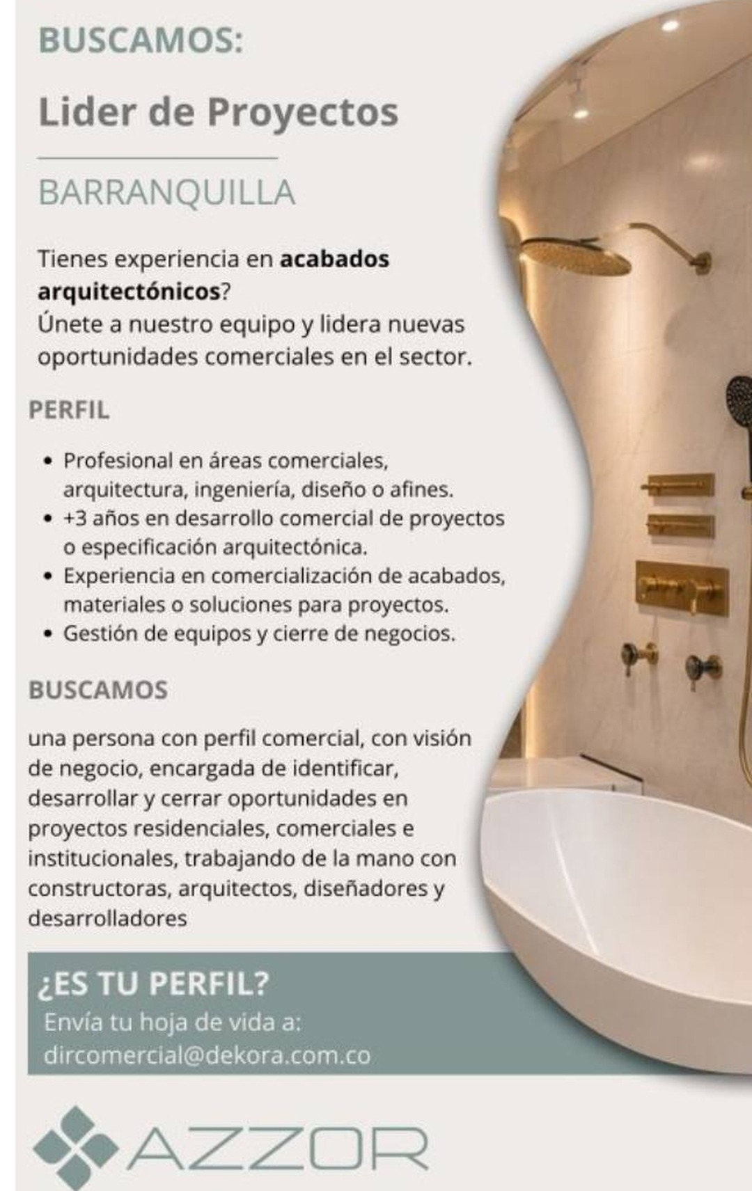 Líder de Proyectos