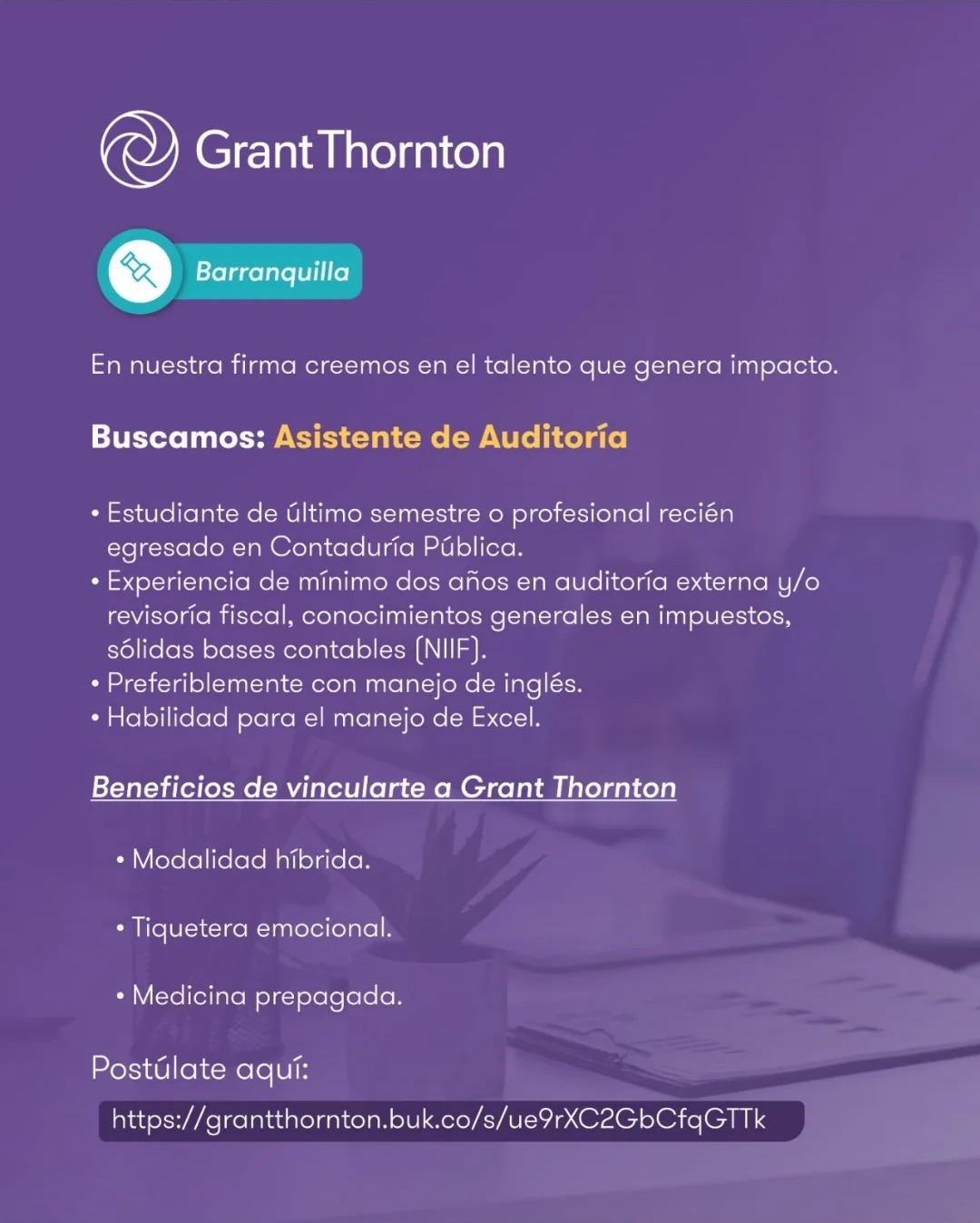 Asistente de Auditoría