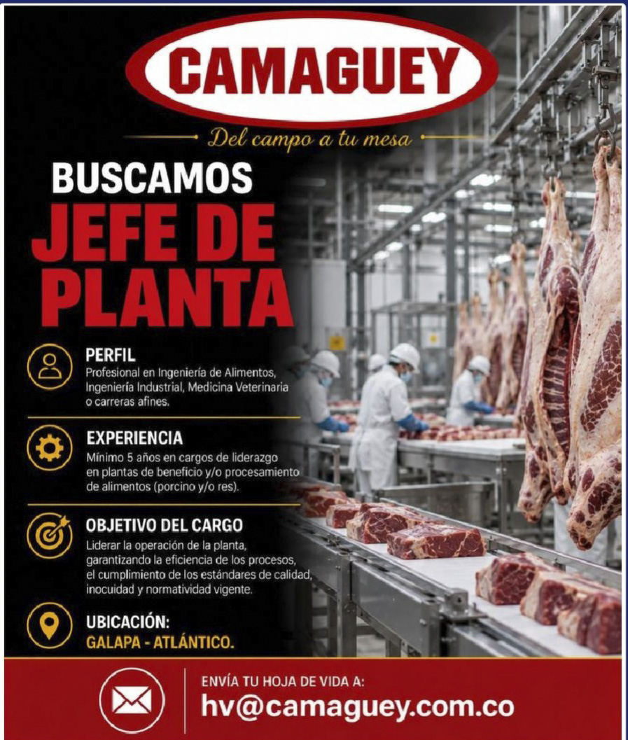 Jefe de Planta