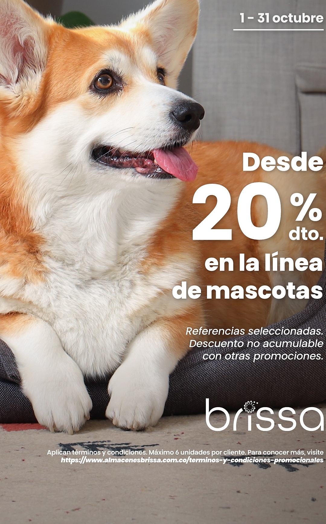 20% off en productos para mascotas — Brissa